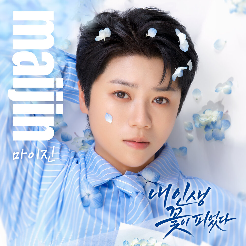 Image Cover